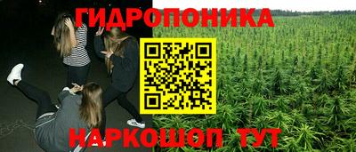 гашик Краснодар