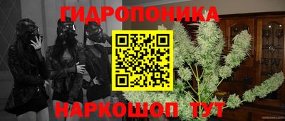 гашик Краснодар