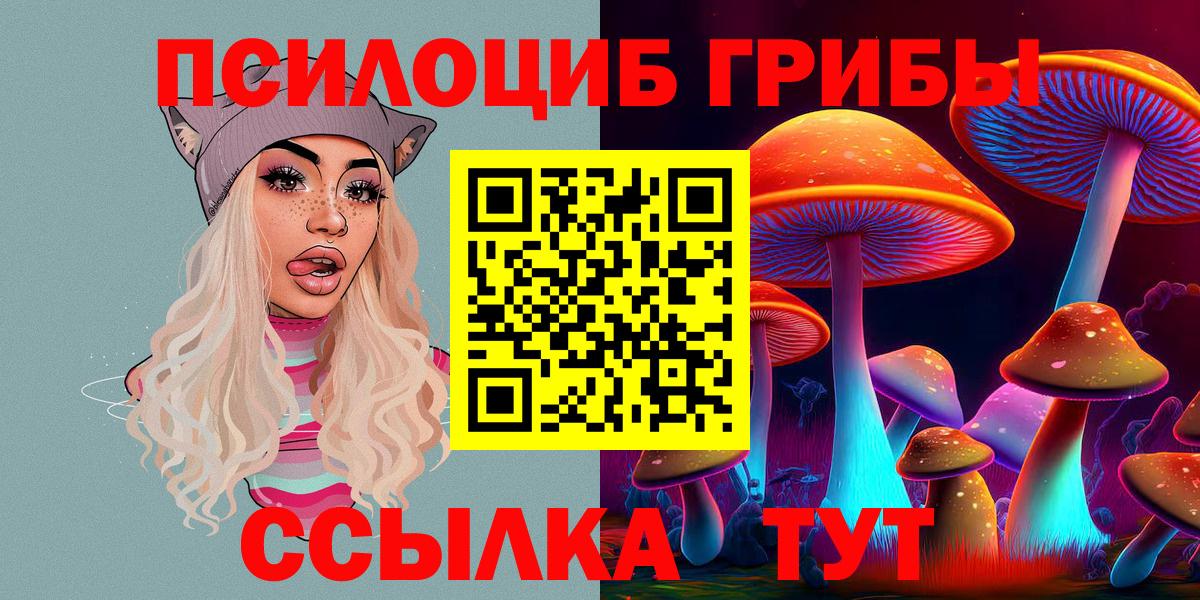 Киселёвск  Галлюциногенные грибы MAGIC MUSHROOMS  Галлюциногенные грибы прущие грибы  Вход с VPN 