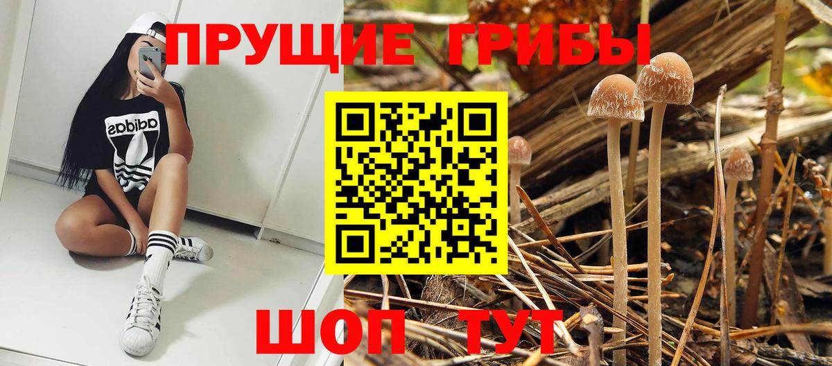 Галлюциногенные грибы Magic Shrooms Киселёвск